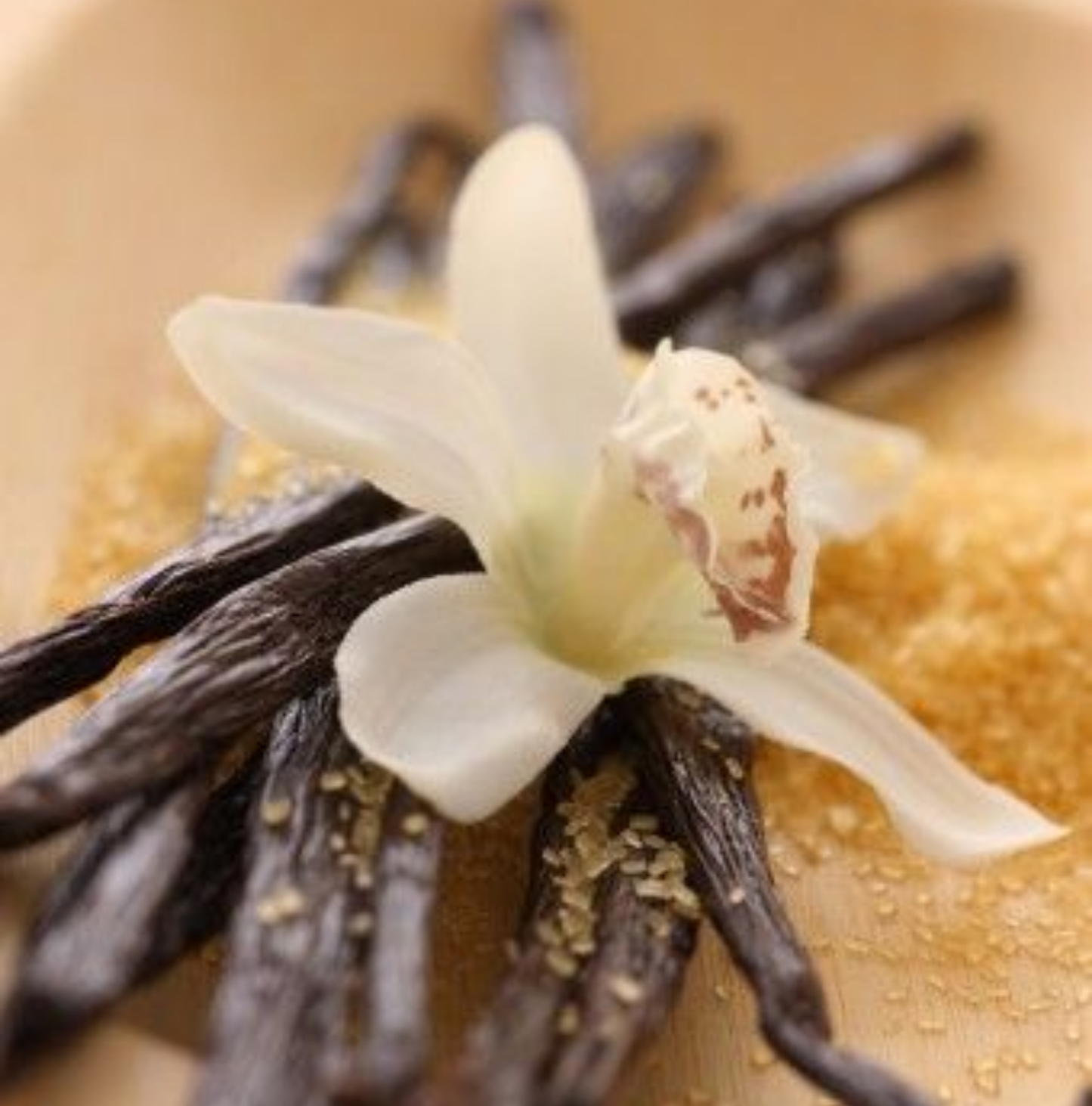 Vanilla Silk Incense Sticks