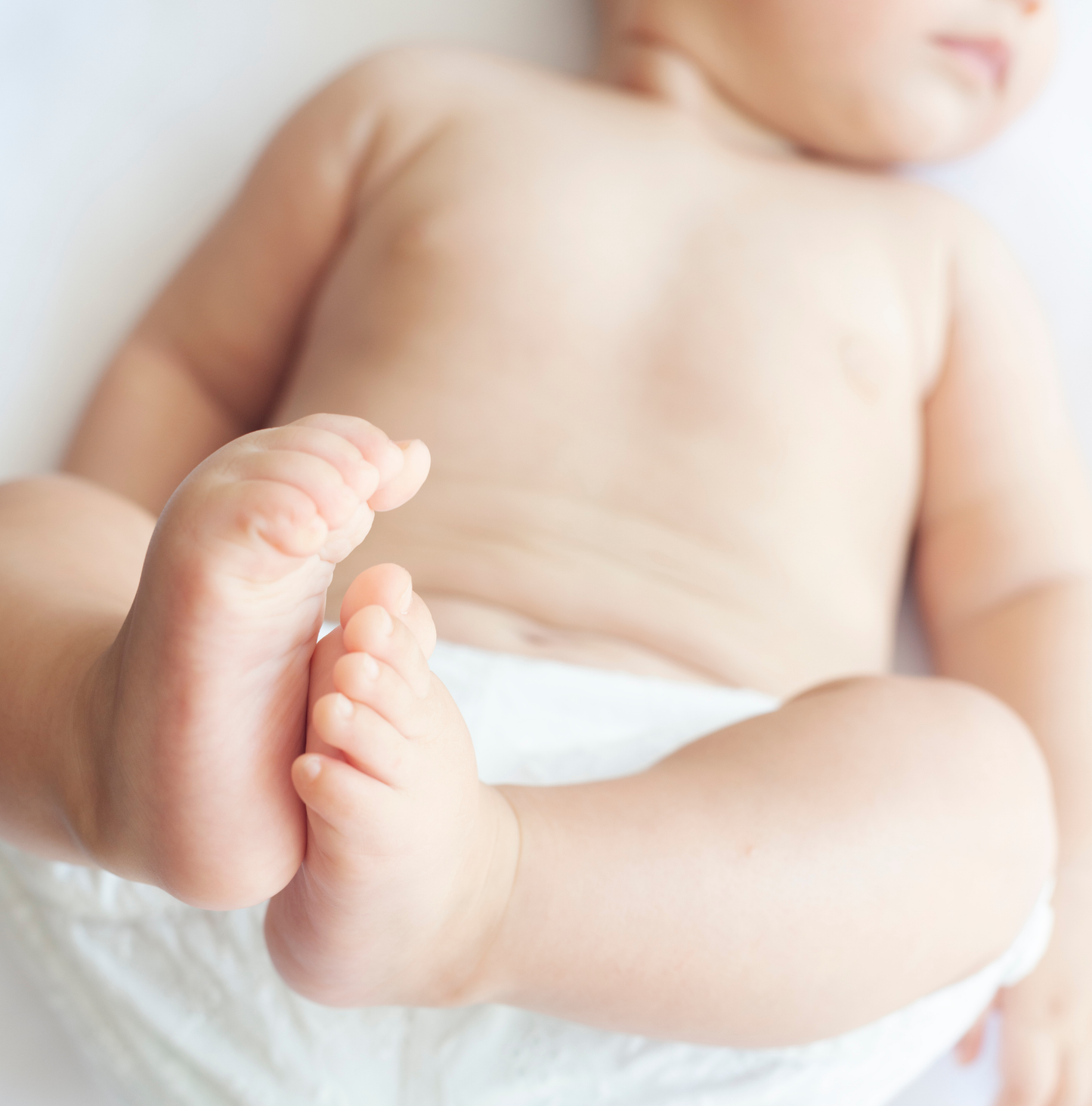 Fresh Powder Haven Incense Sticks